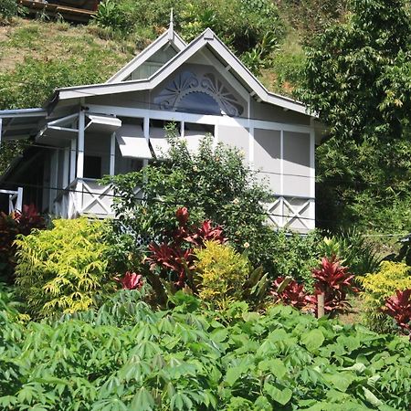 Gingerbread Cottage And Studio Fiji Savusavu Exteriér fotografie