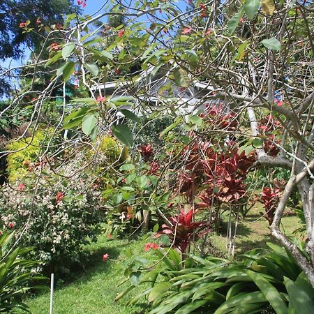 Gingerbread Cottage And Studio Fiji Savusavu Exteriér fotografie