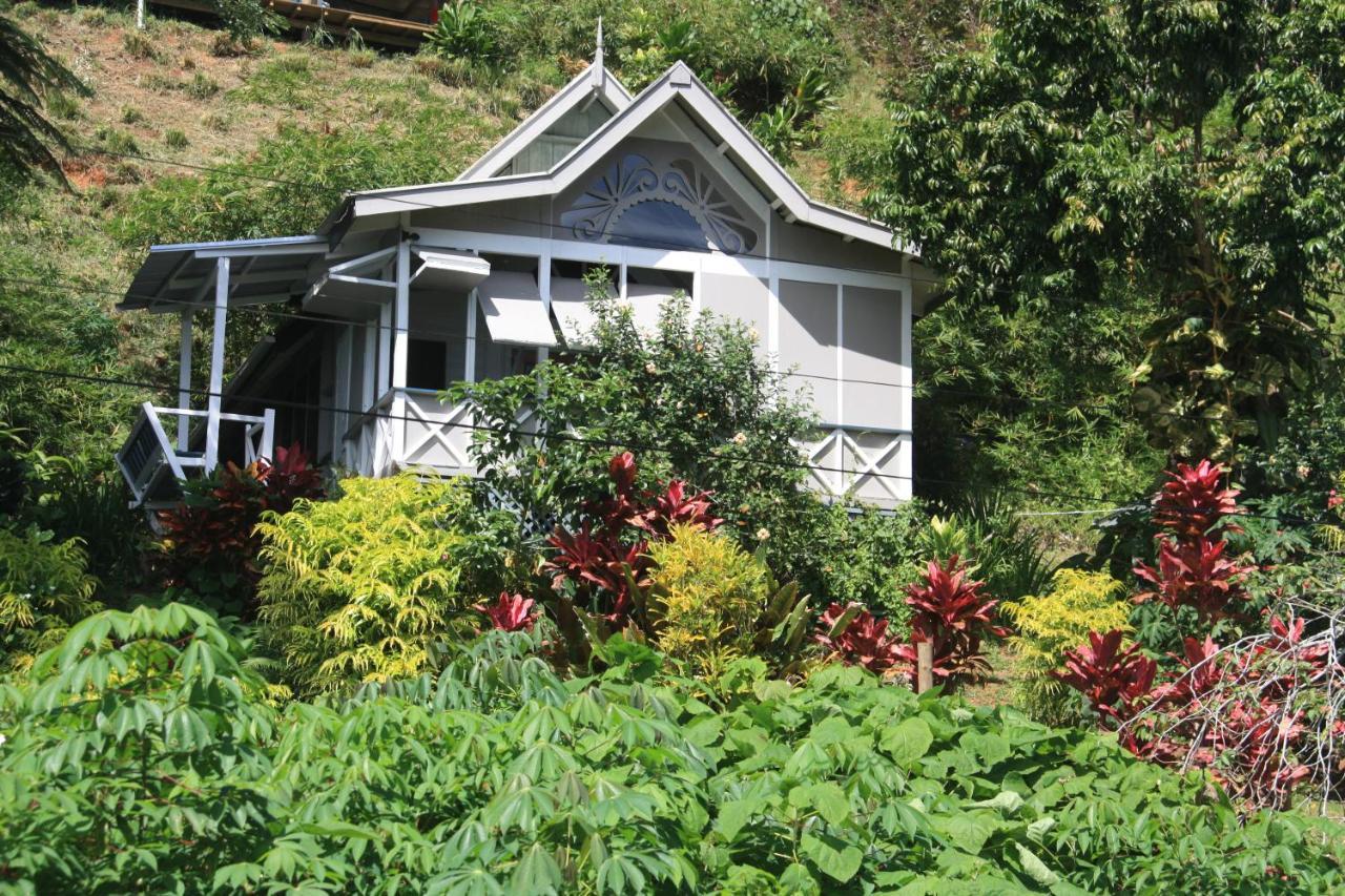 Gingerbread Cottage And Studio Fiji Savusavu Exteriér fotografie