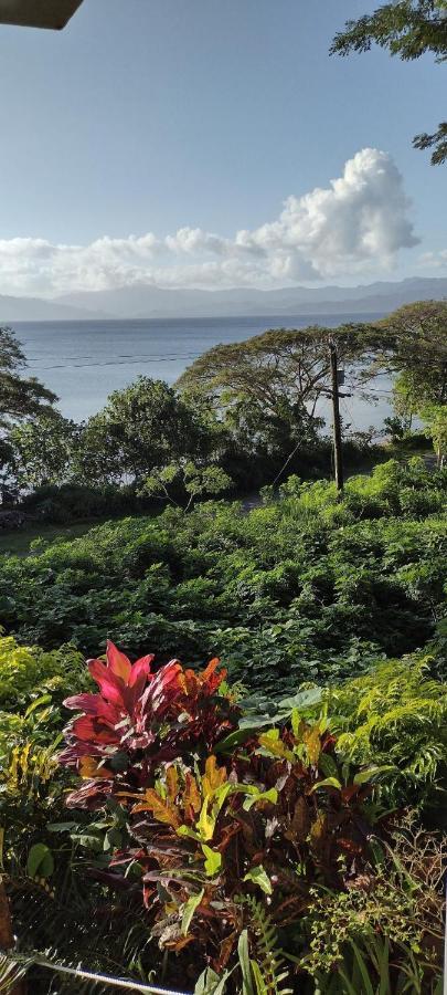 Gingerbread Cottage And Studio Fiji Savusavu Exteriér fotografie