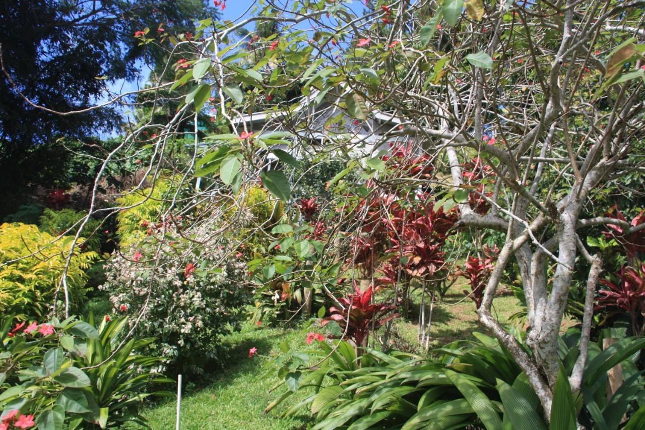 Gingerbread Cottage And Studio Fiji Savusavu Exteriér fotografie